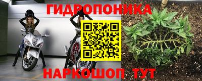 герыч Можга