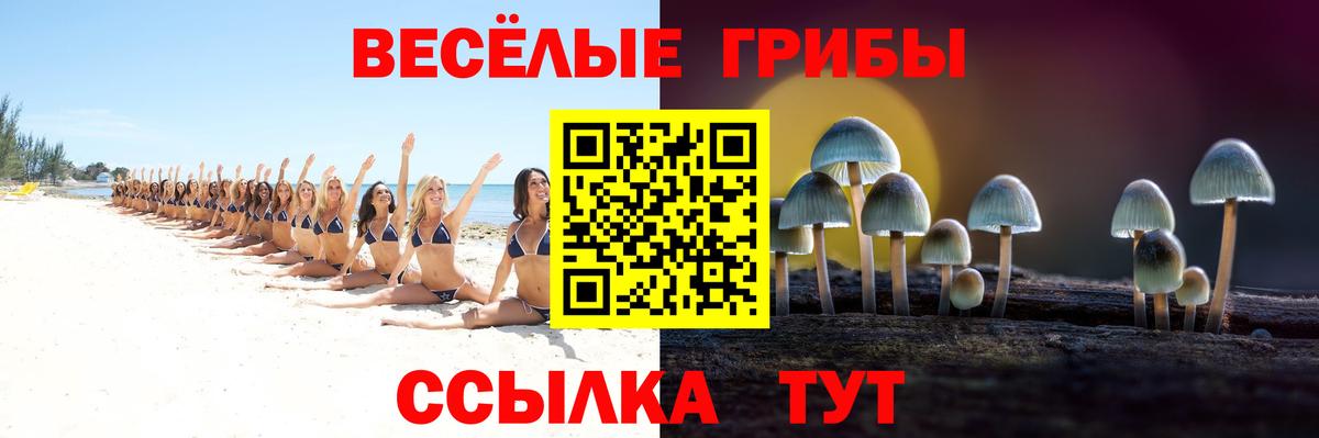 Псилоцибиновые грибы Magic Shrooms Славянск-на-Кубани